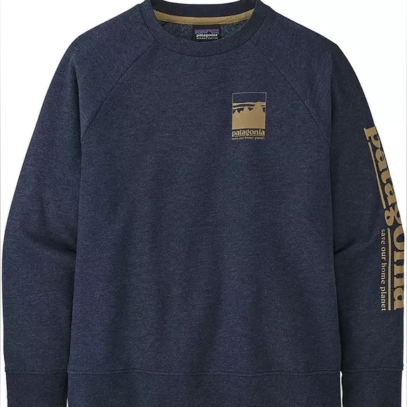 Patagonia Other - Patagonia Youth Lightweight Crew Sweatshirt